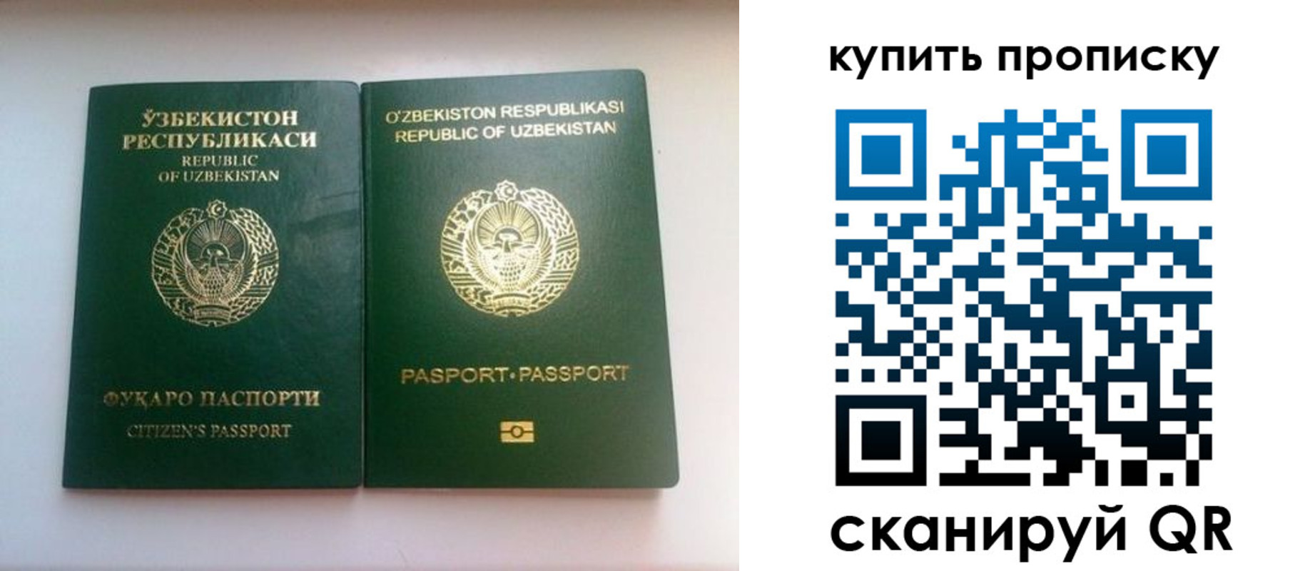 прописка в квартире в Дрезне